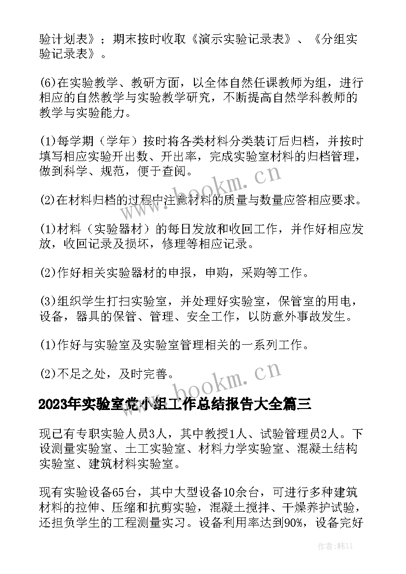 2023年实验室党小组工作总结报告大全