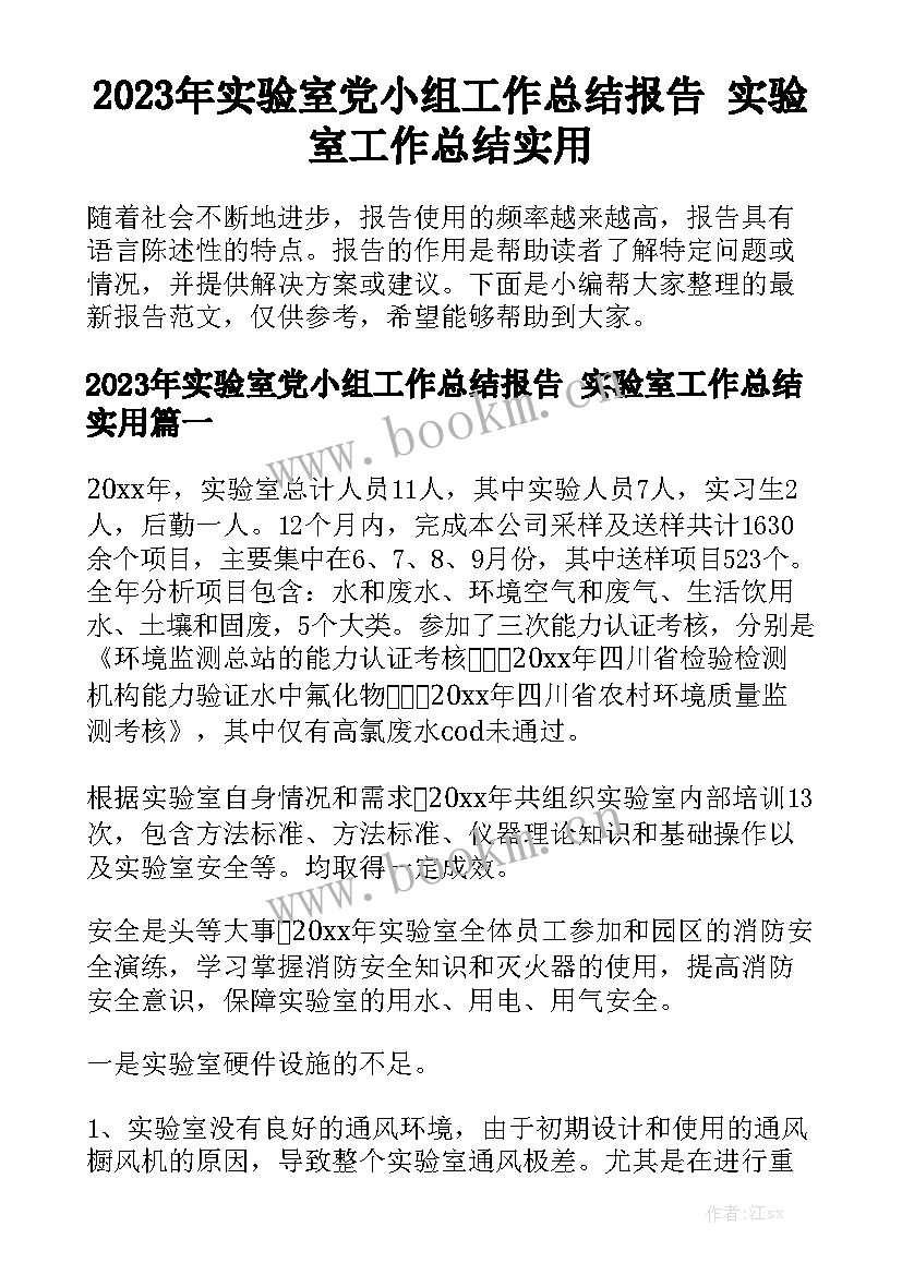 2023年实验室党小组工作总结报告 实验室工作总结实用