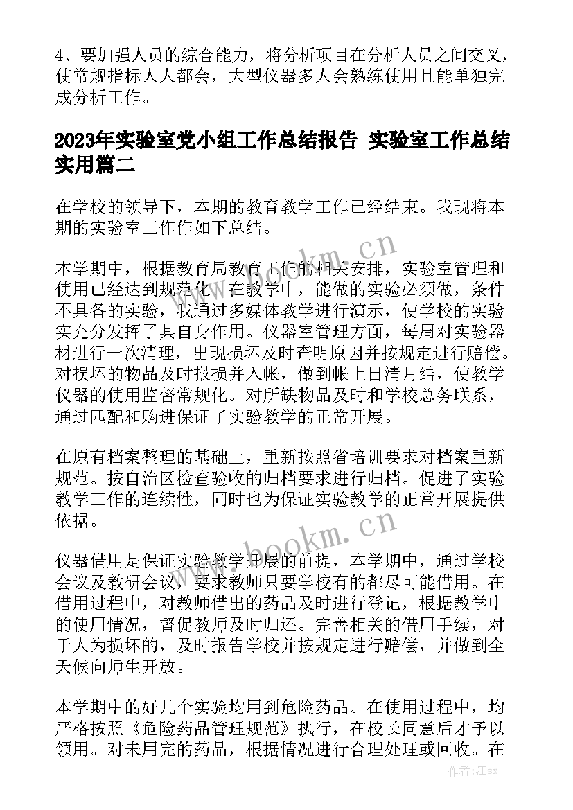 2023年实验室党小组工作总结报告 实验室工作总结实用