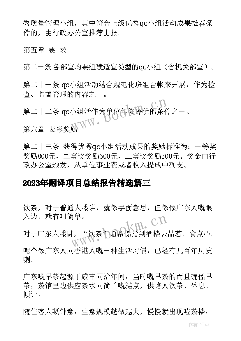 2023年翻译项目总结报告精选