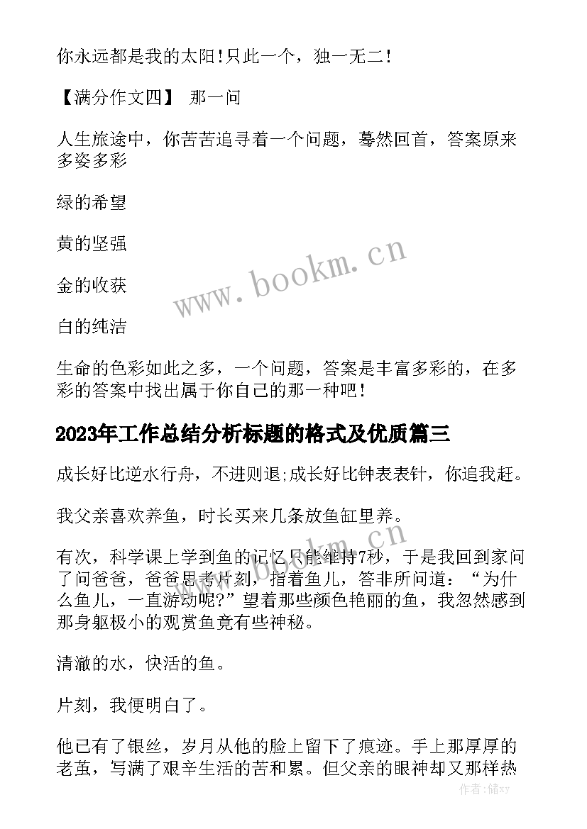 2023年工作总结分析标题的格式及优质