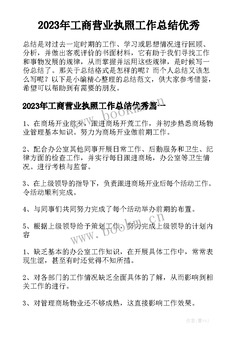 2023年工商营业执照工作总结优秀