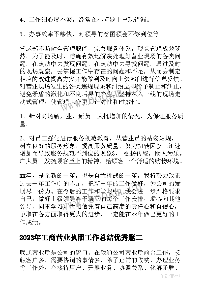 2023年工商营业执照工作总结优秀