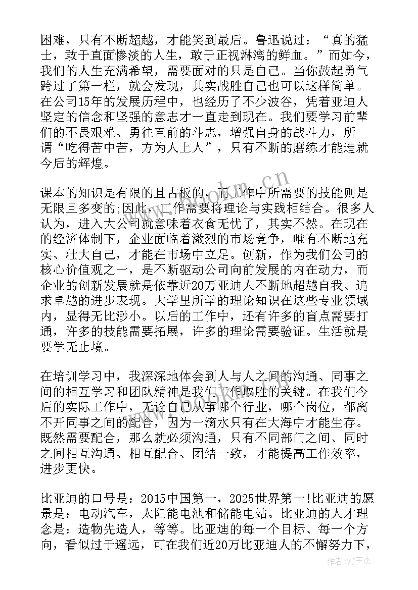 最新比亚迪试用期工作总结通用