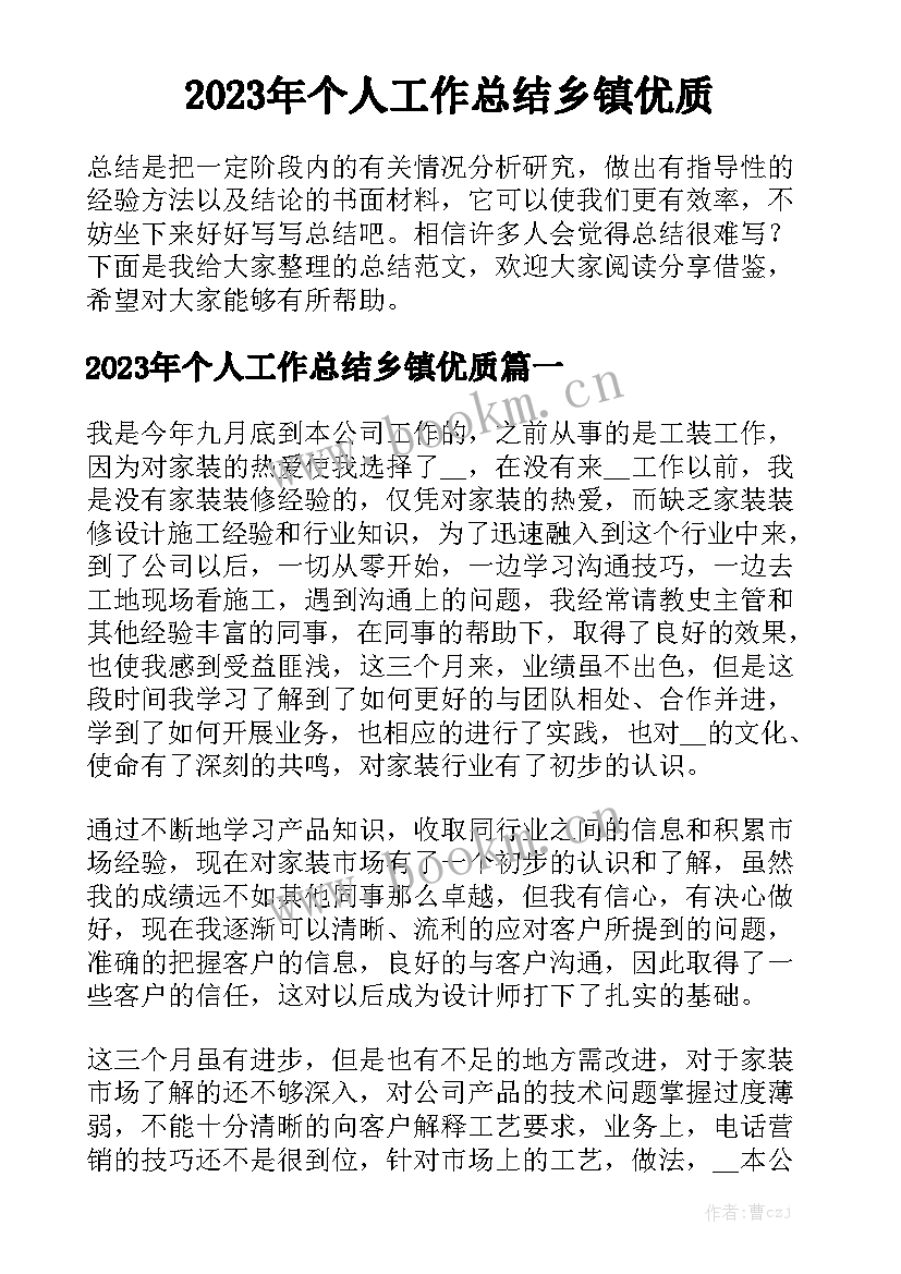 2023年个人工作总结乡镇优质