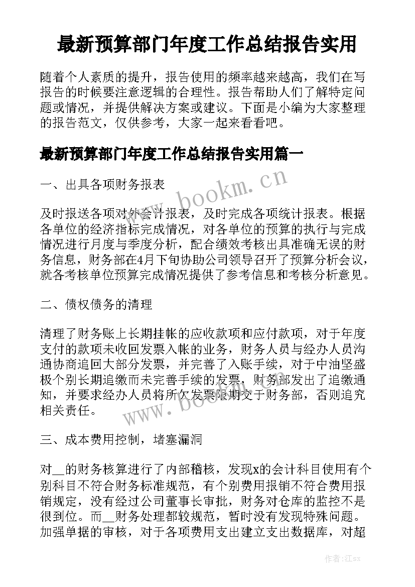 最新预算部门年度工作总结报告实用