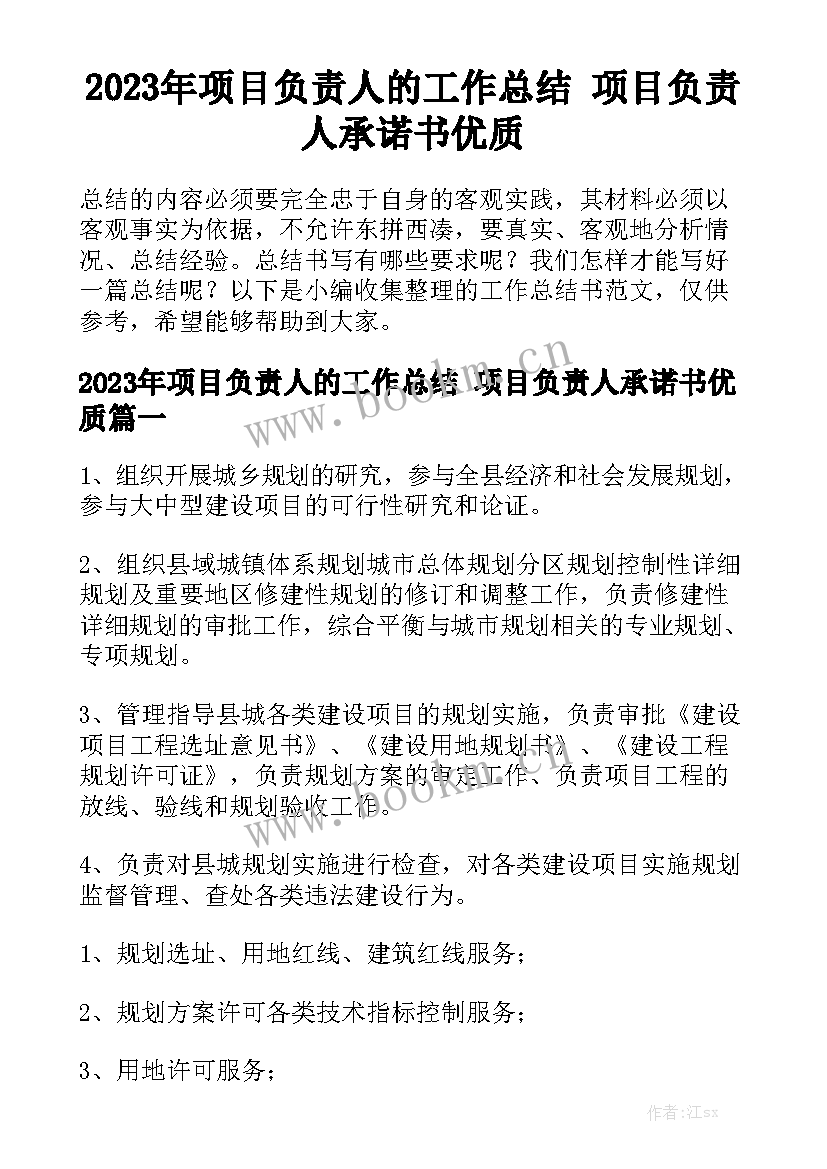 2023年项目负责人的工作总结 项目负责人承诺书优质