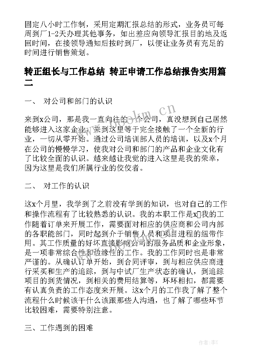 转正组长与工作总结 转正申请工作总结报告实用