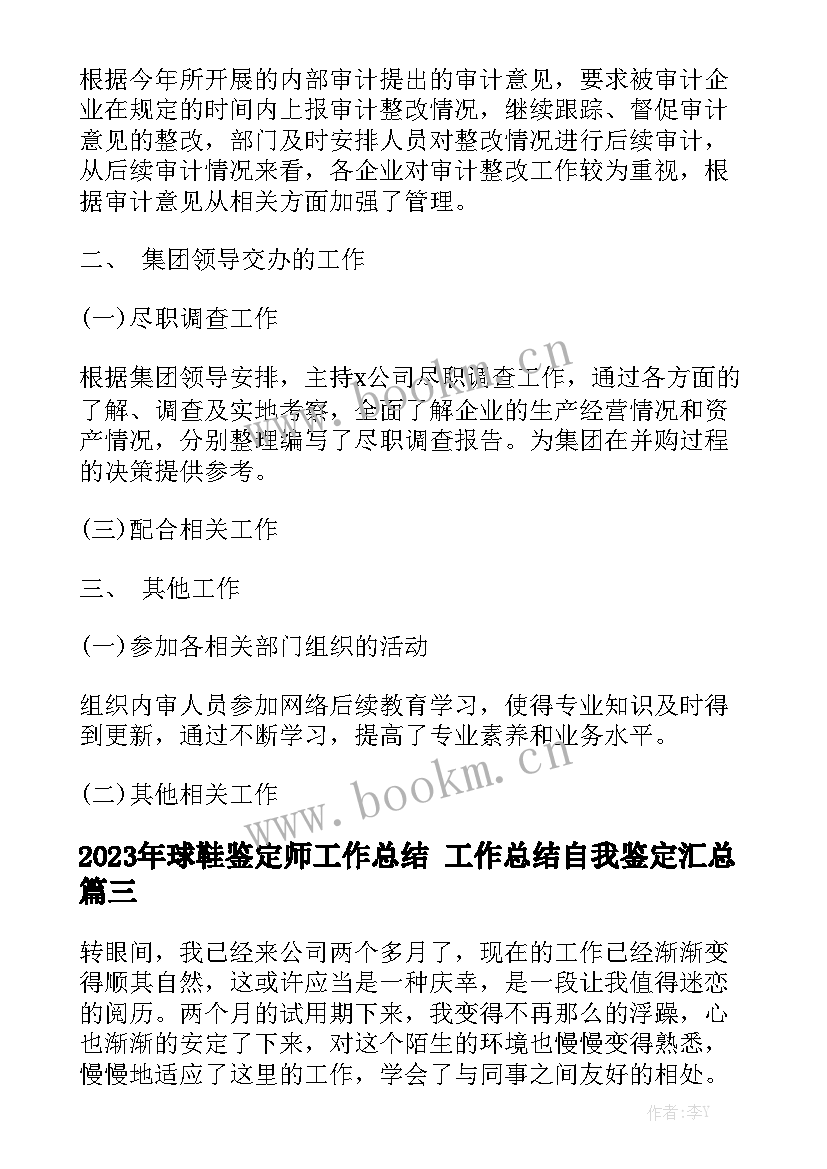 2023年球鞋鉴定师工作总结 工作总结自我鉴定汇总