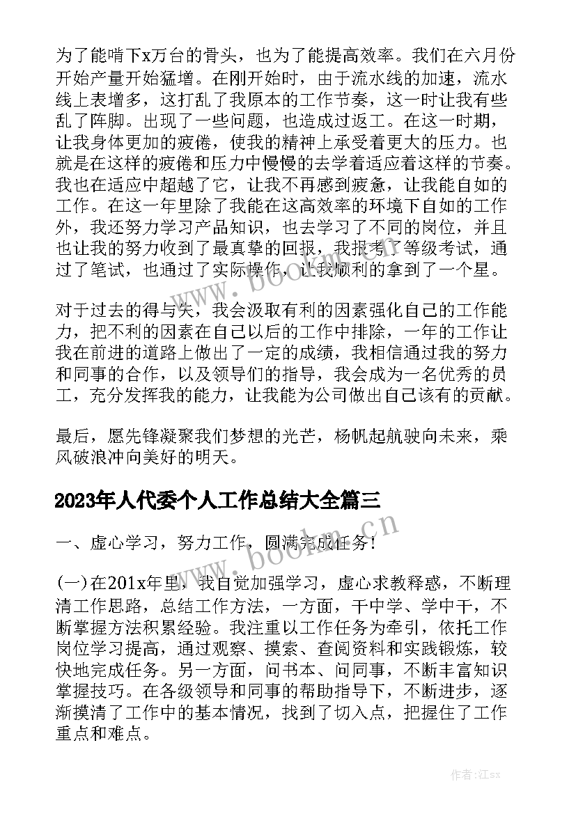 2023年人代委个人工作总结大全