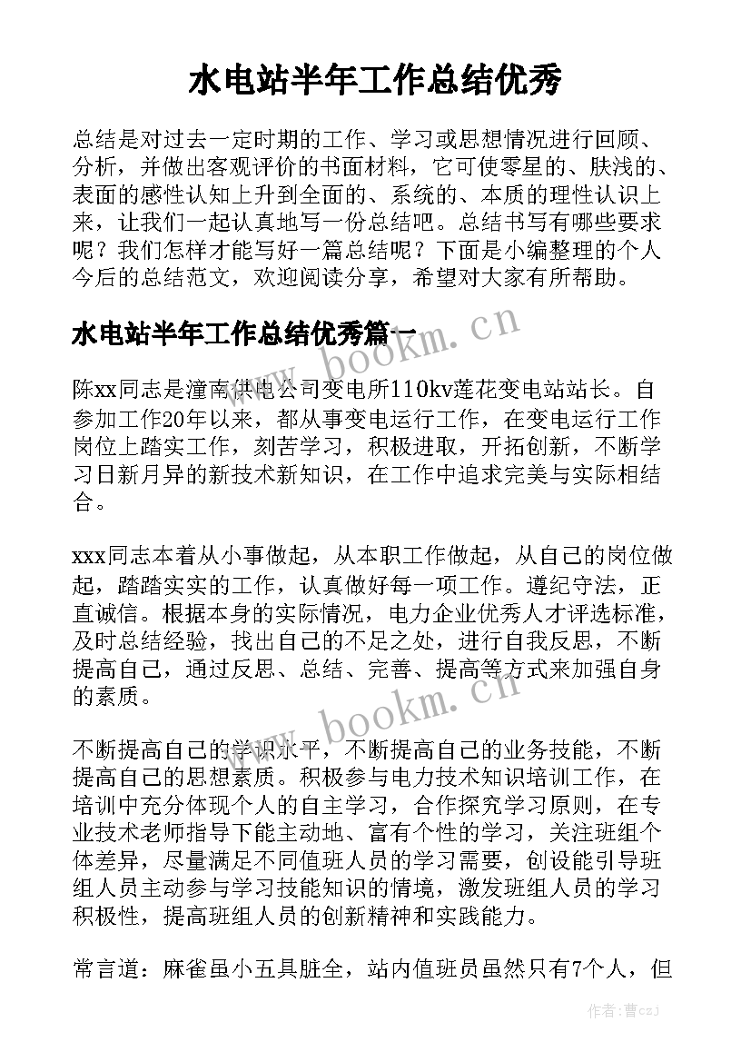 水电站半年工作总结优秀