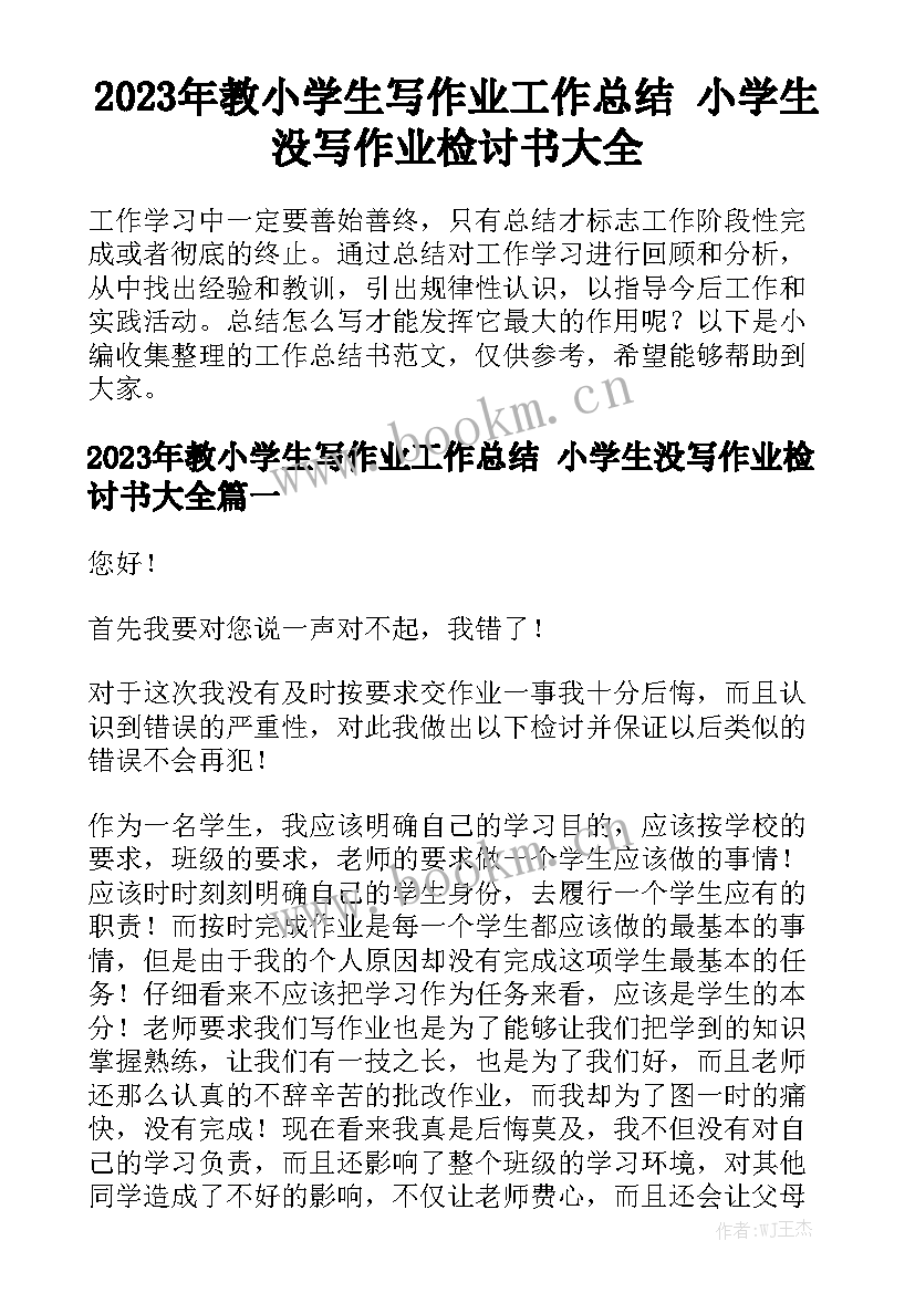 2023年教小学生写作业工作总结 小学生没写作业检讨书大全