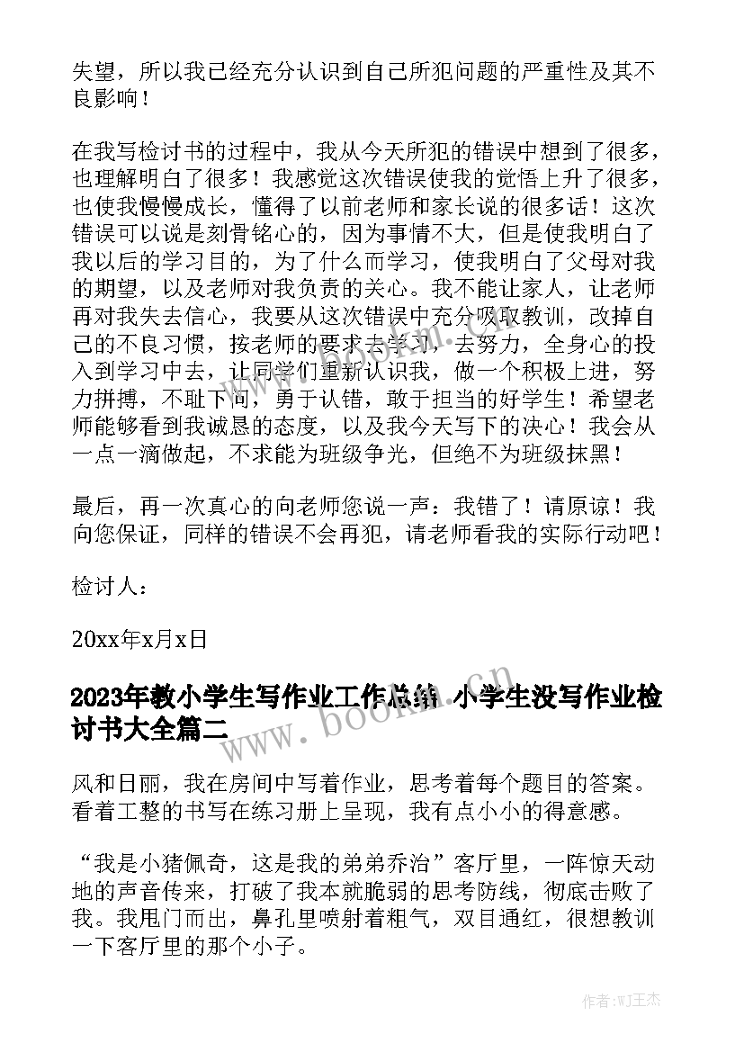 2023年教小学生写作业工作总结 小学生没写作业检讨书大全