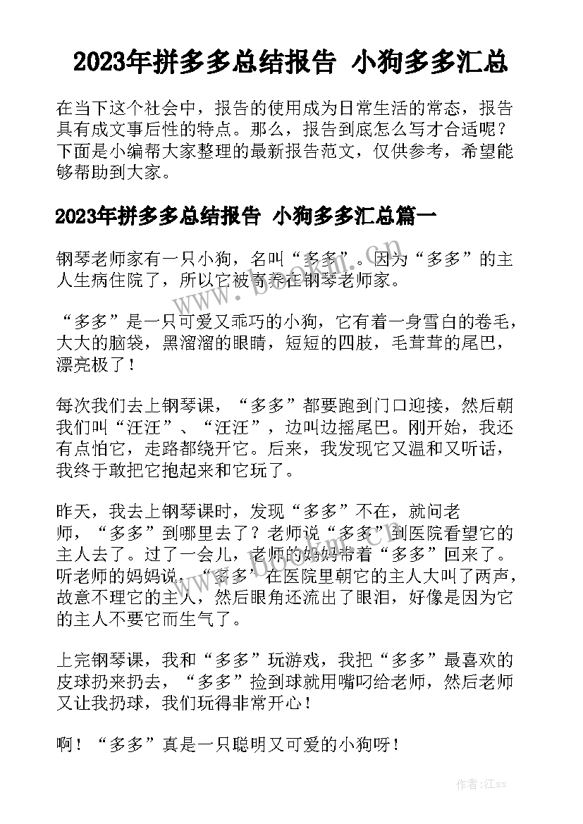 2023年拼多多总结报告 小狗多多汇总