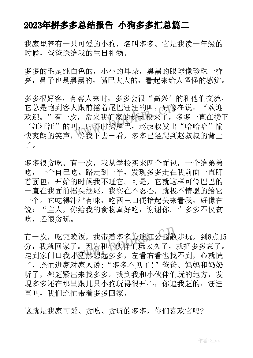 2023年拼多多总结报告 小狗多多汇总