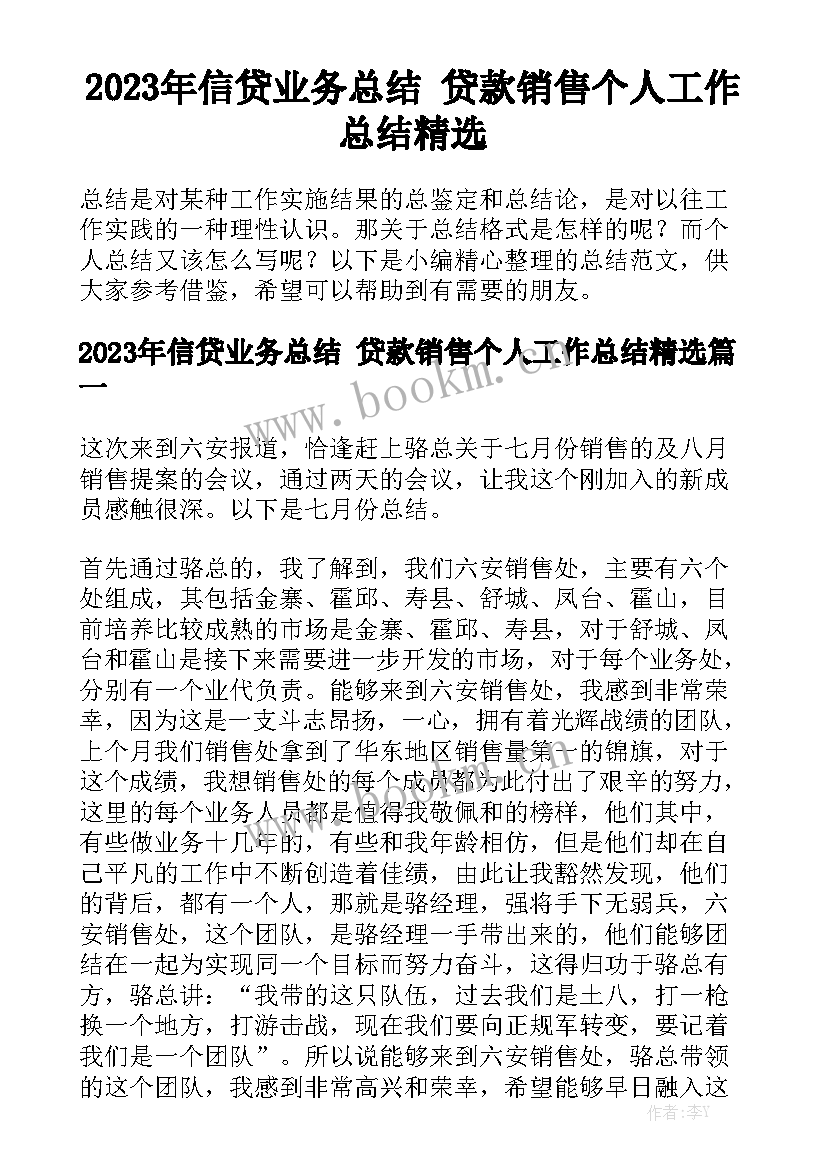 2023年信贷业务总结 贷款销售个人工作总结精选