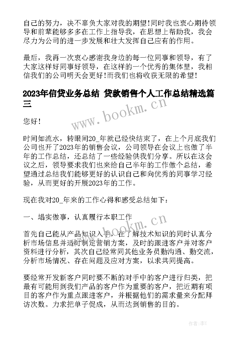 2023年信贷业务总结 贷款销售个人工作总结精选