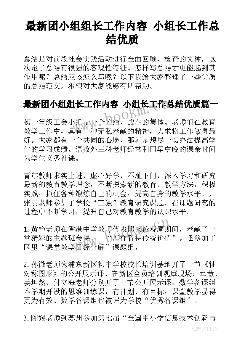 最新团小组组长工作内容 小组长工作总结优质