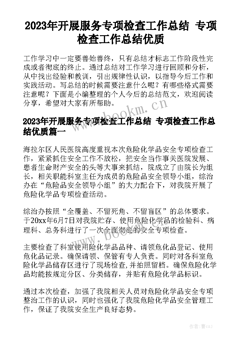 2023年开展服务专项检查工作总结 专项检查工作总结优质