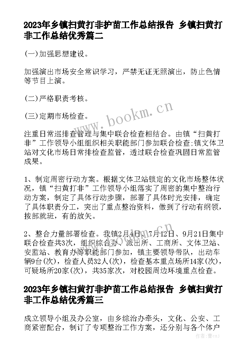 2023年乡镇扫黄打非护苗工作总结报告 乡镇扫黄打非工作总结优秀