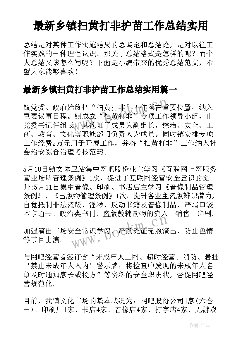 最新乡镇扫黄打非护苗工作总结实用