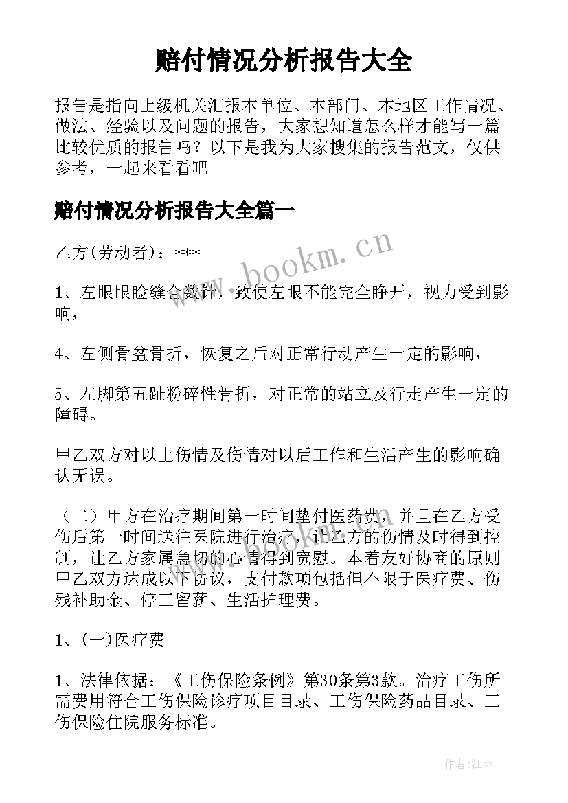 赔付情况分析报告大全