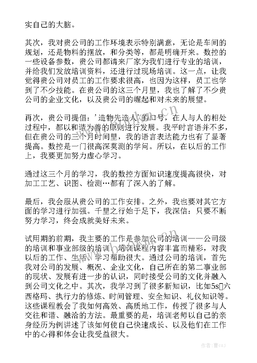 最新比亚迪试用期工作总结实用