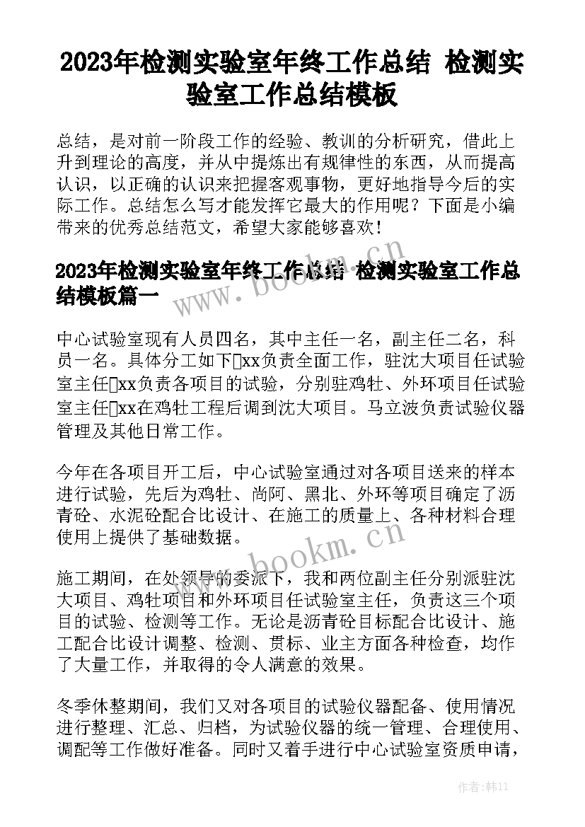 2023年检测实验室年终工作总结 检测实验室工作总结模板