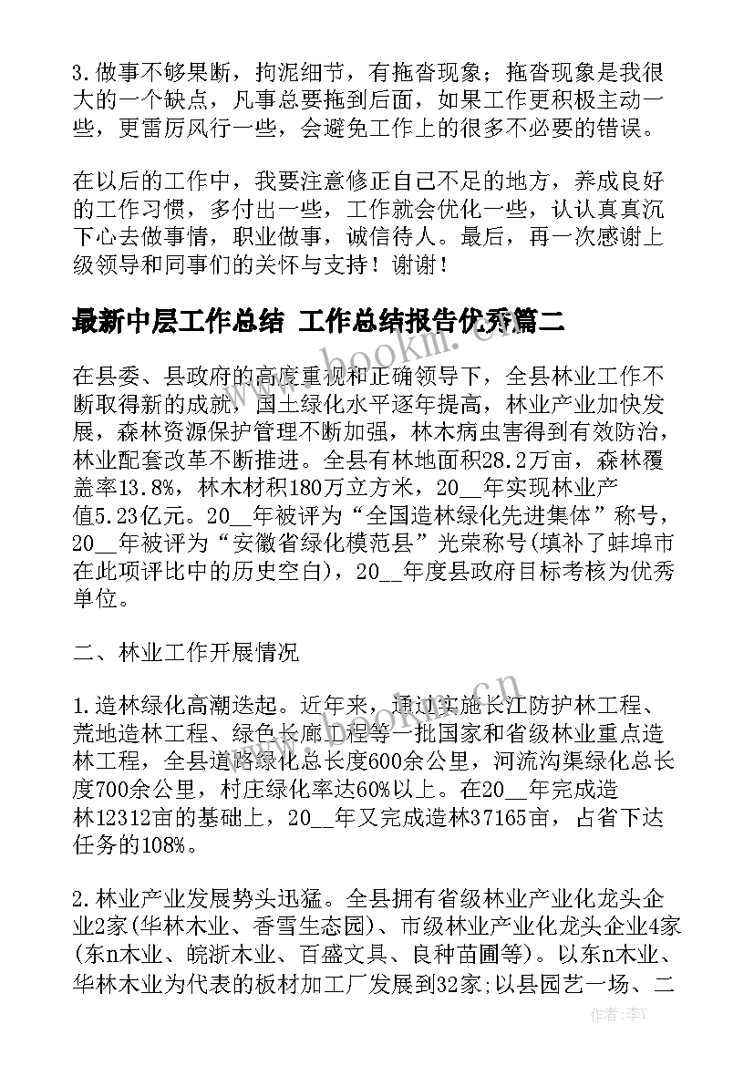 最新中层工作总结 工作总结报告优秀