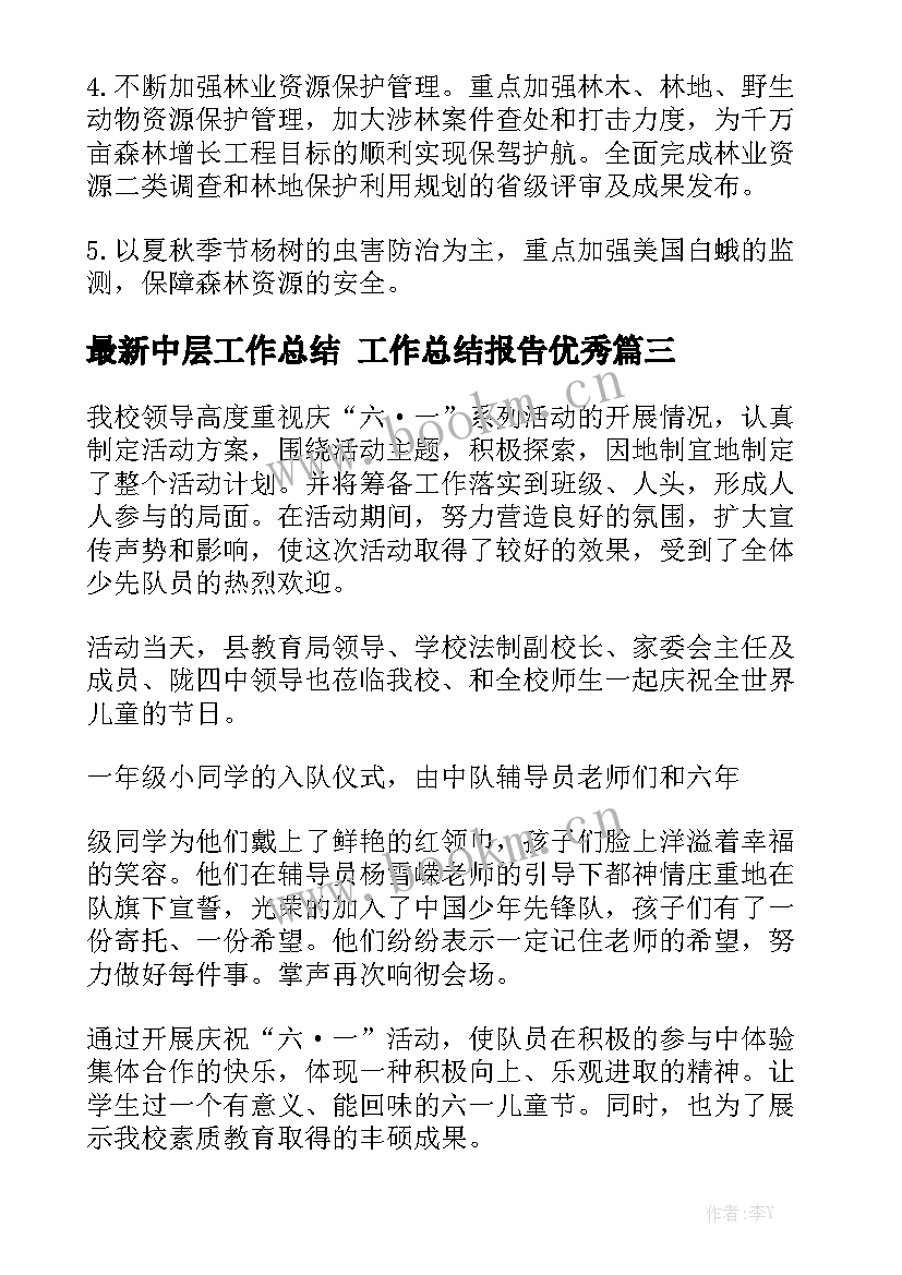 最新中层工作总结 工作总结报告优秀