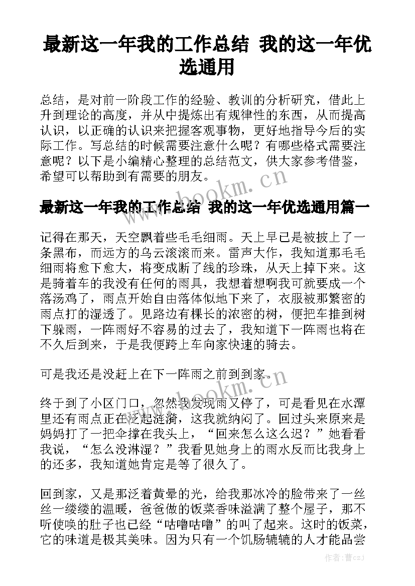 最新这一年我的工作总结 我的这一年优选通用