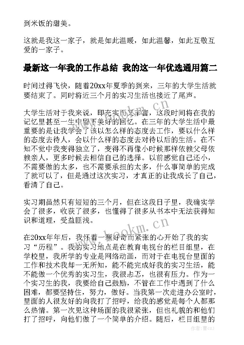 最新这一年我的工作总结 我的这一年优选通用