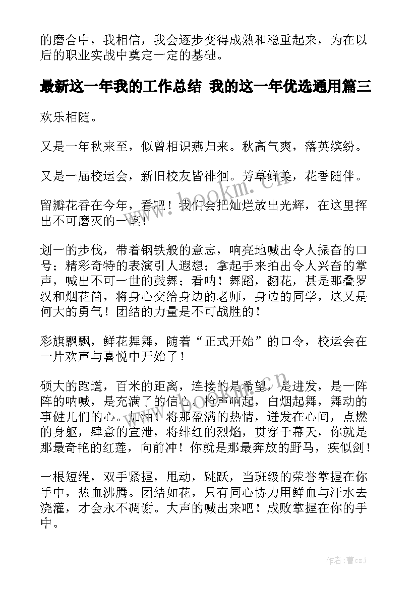 最新这一年我的工作总结 我的这一年优选通用