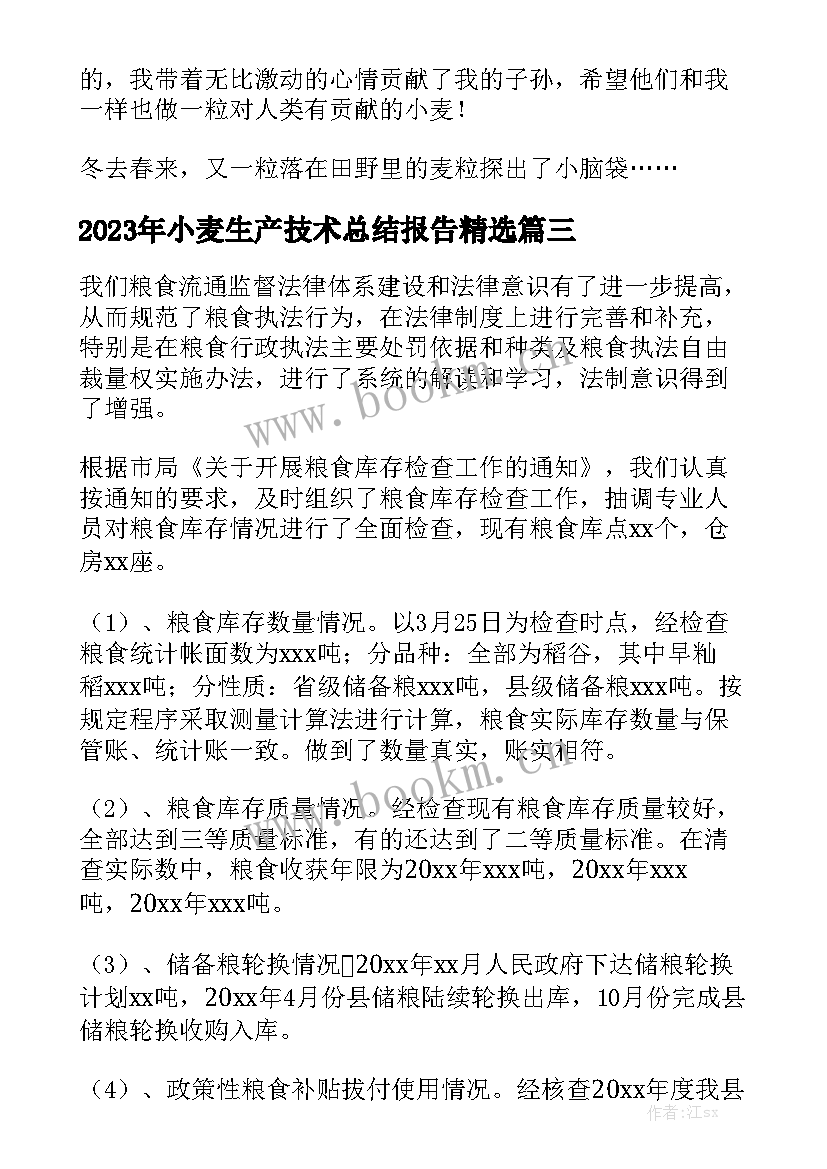 2023年小麦生产技术总结报告精选