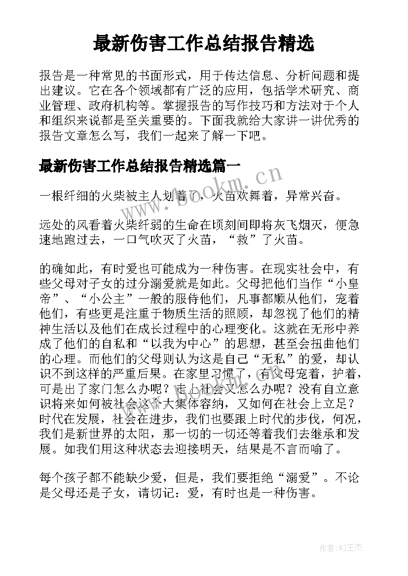 最新伤害工作总结报告精选