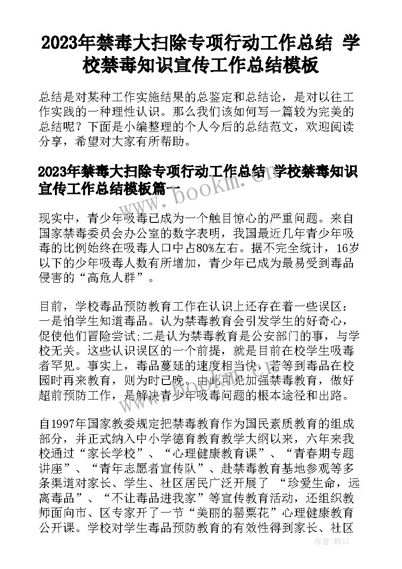 2023年禁毒大扫除专项行动工作总结 学校禁毒知识宣传工作总结模板