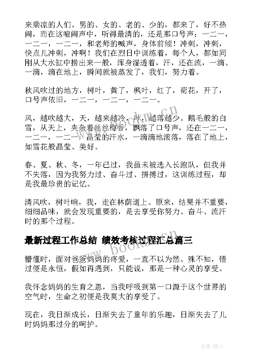 最新过程工作总结 绩效考核过程汇总