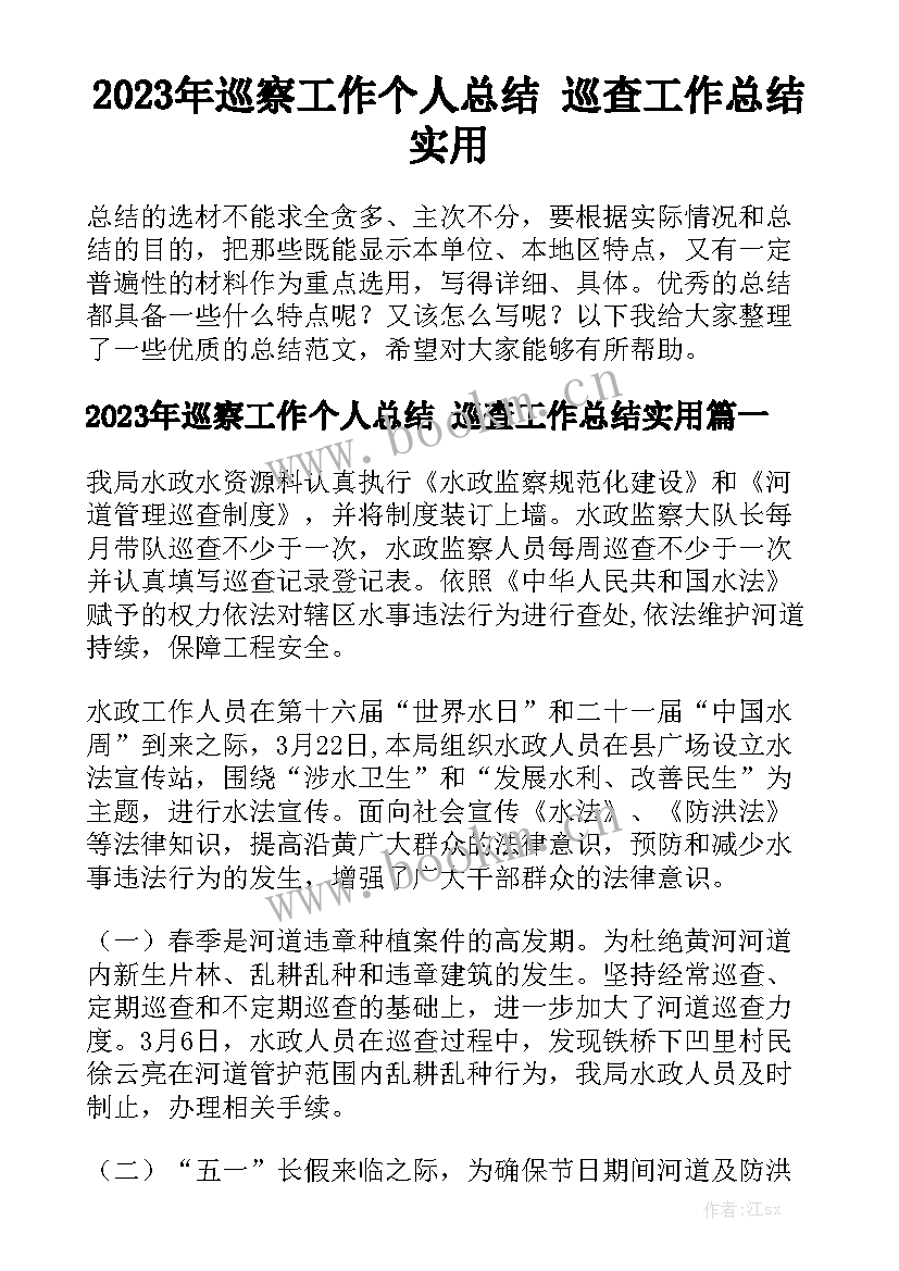 2023年巡察工作个人总结 巡查工作总结实用