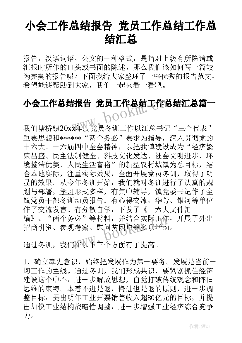 小会工作总结报告 党员工作总结工作总结汇总