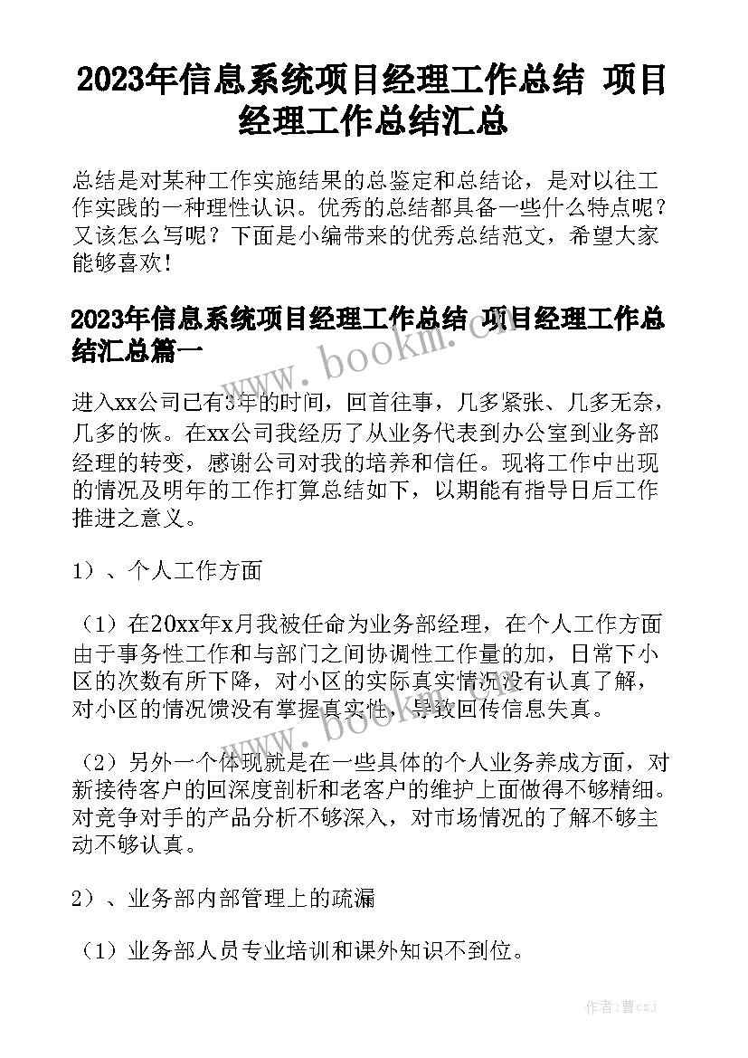 2023年信息系统项目经理工作总结 项目经理工作总结汇总