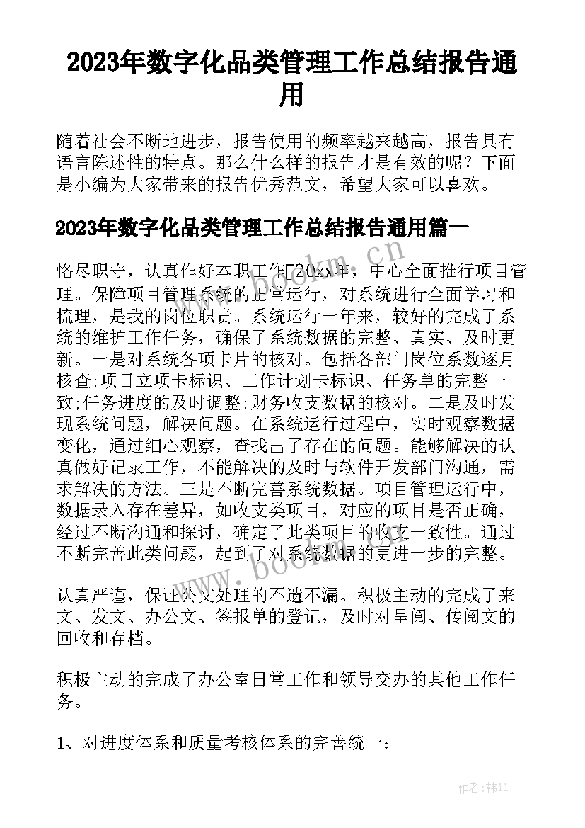 2023年数字化品类管理工作总结报告通用