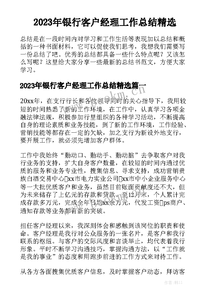 2023年银行客户经理工作总结精选