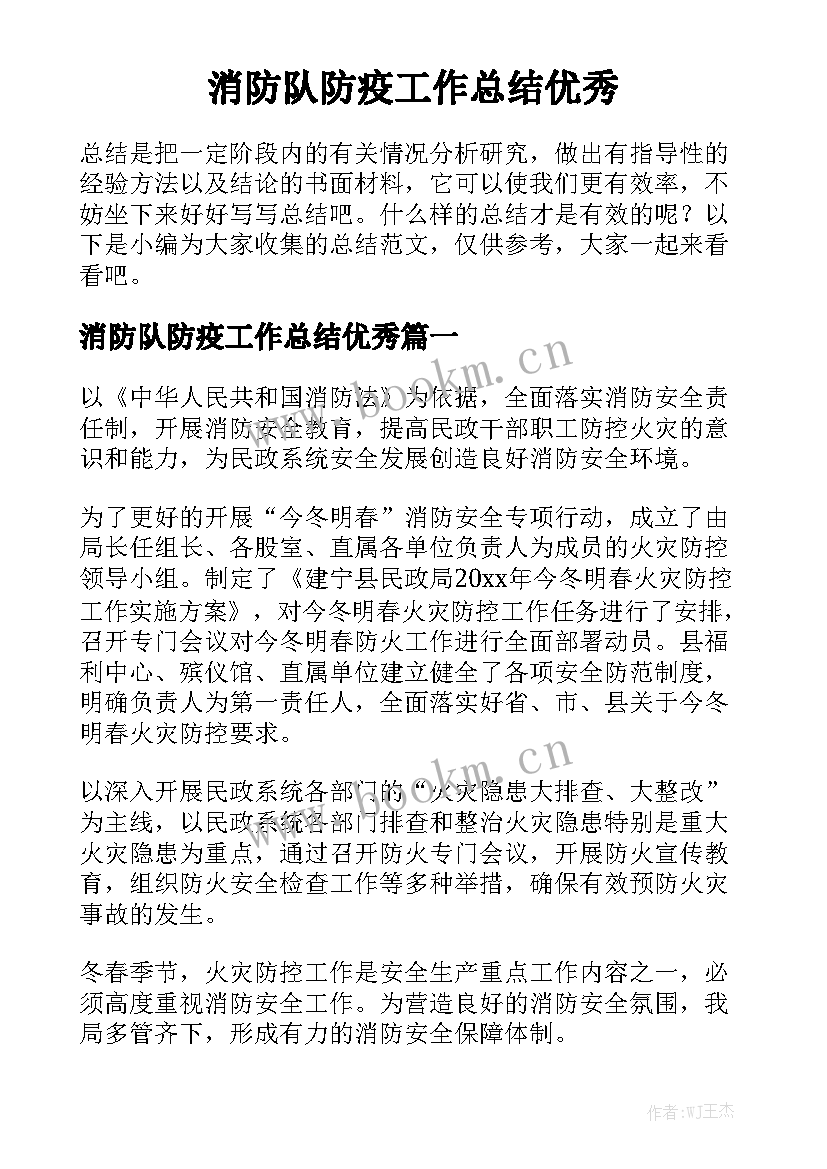 消防队防疫工作总结优秀