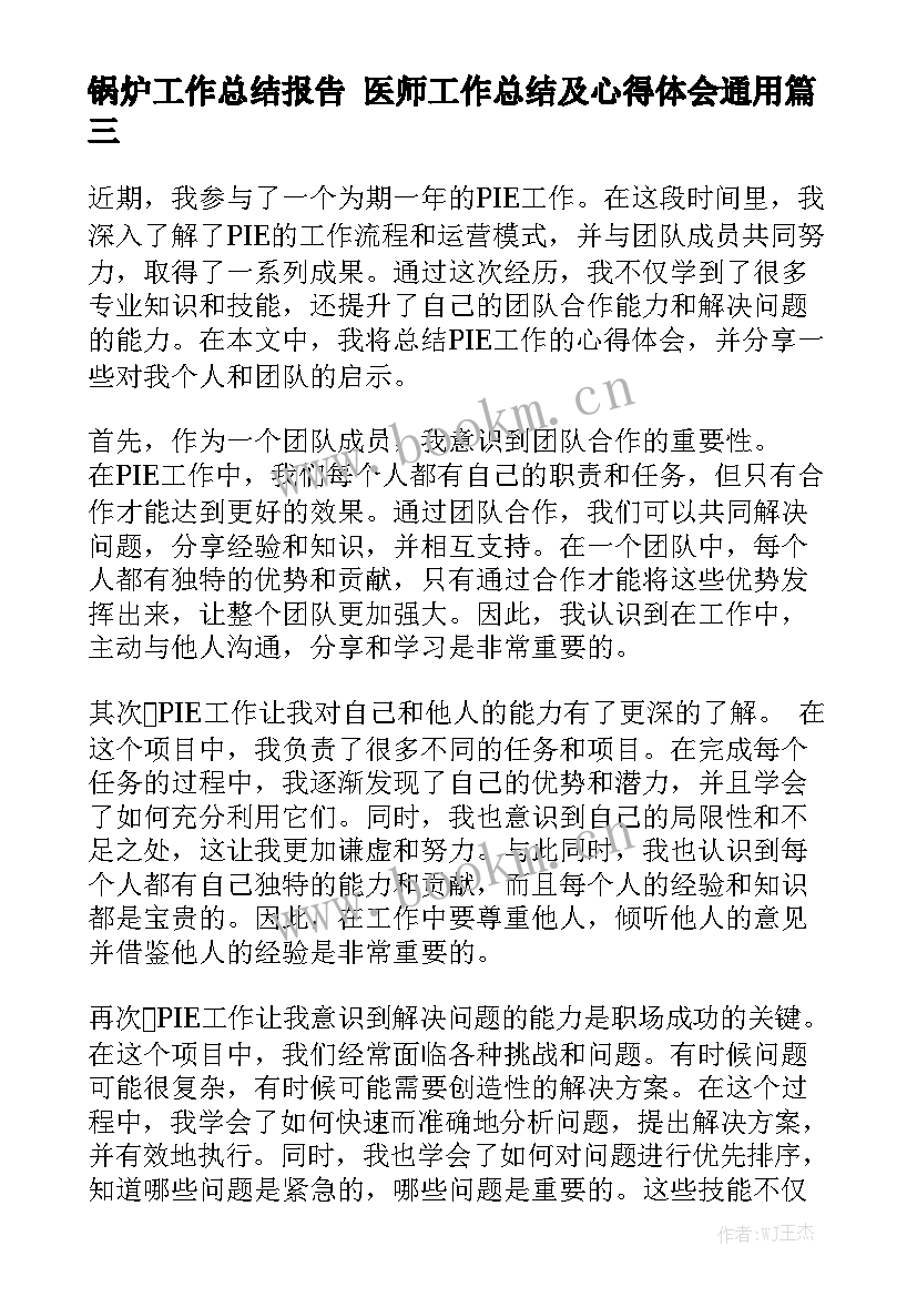 锅炉工作总结报告 医师工作总结及心得体会通用