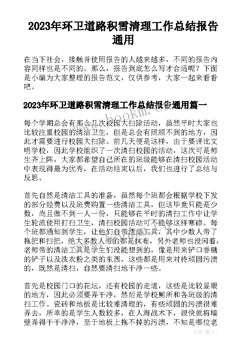 2023年环卫道路积雪清理工作总结报告通用