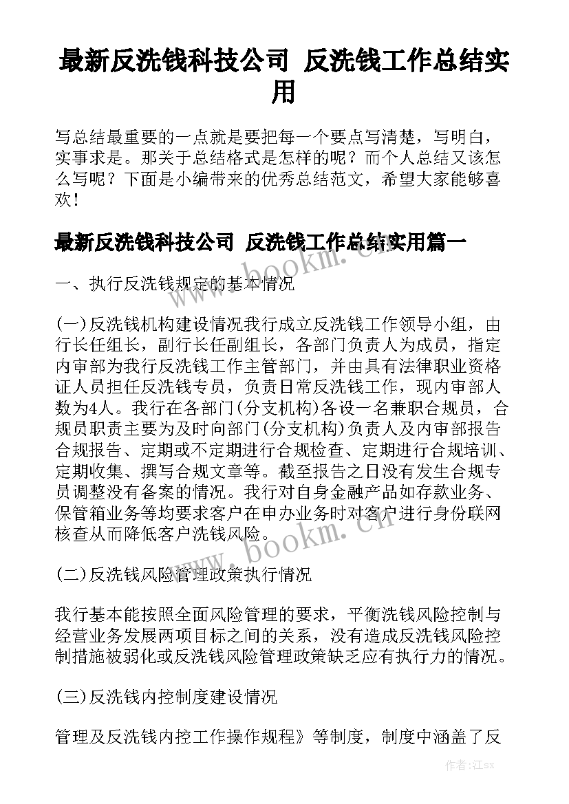 最新反洗钱科技公司 反洗钱工作总结实用