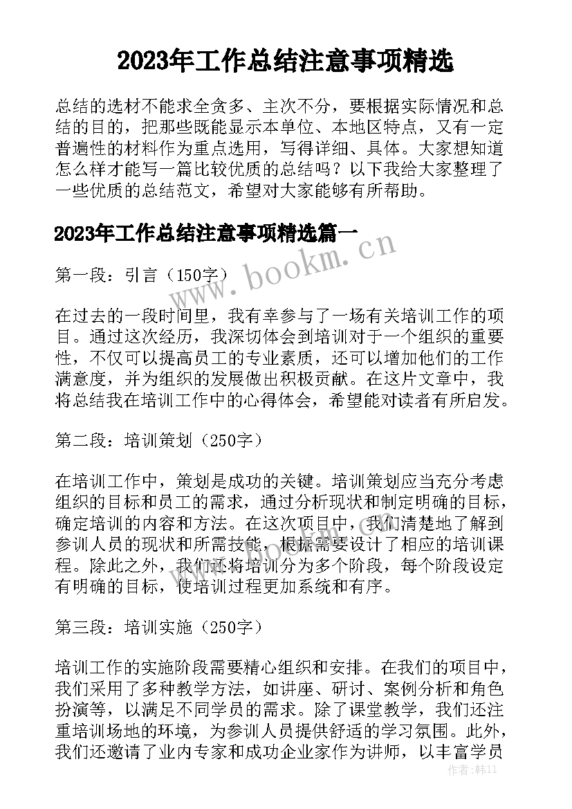 2023年工作总结注意事项精选