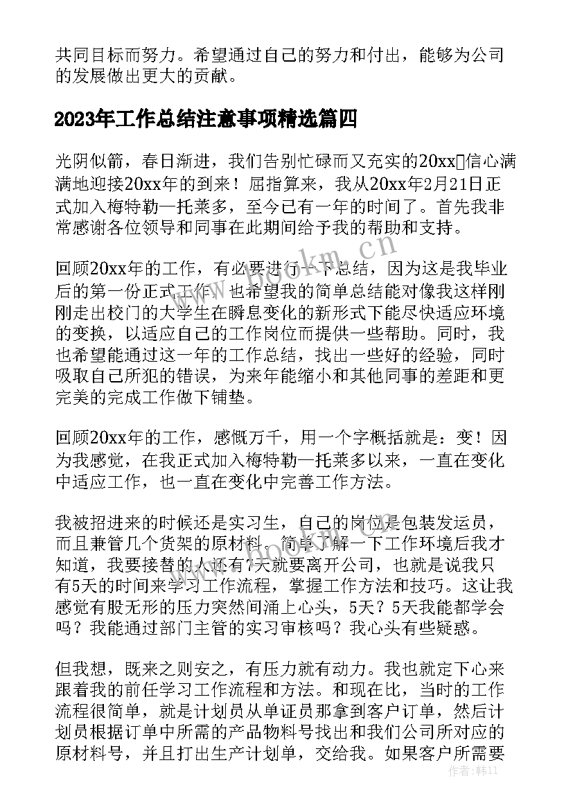 2023年工作总结注意事项精选