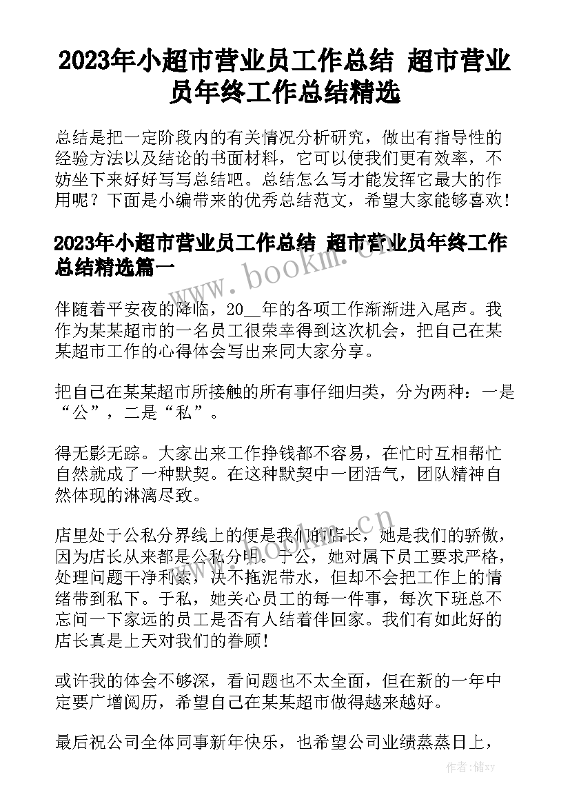 2023年小超市营业员工作总结 超市营业员年终工作总结精选