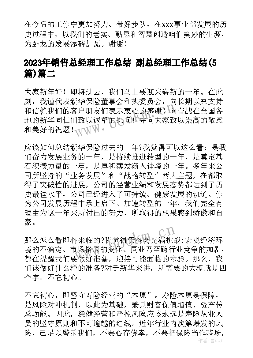 2023年销售总经理工作总结 副总经理工作总结(5篇)